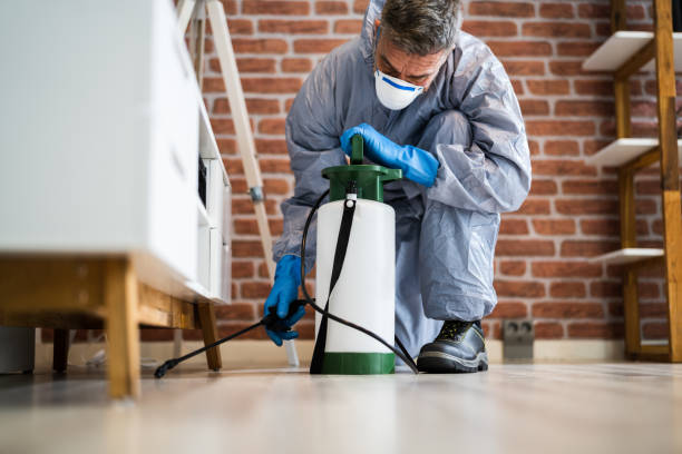 Best Fumigation Services  in Gettysburg, PA